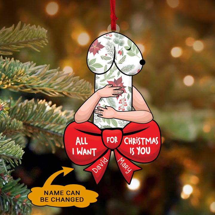 Funny Christmas Ornament, Dirty Christmas Ornament, Couple Ornament, Naughty Gift For Couple | Dick Couple