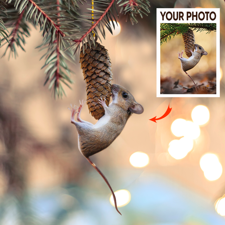Custom Photo Ornament, Cute Photo Ornament, Lovely Christmas Gift | Lovely