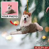 Custom Photo Ornament, Funny Gifts, Christmas Gift for Family, Friends, and Lover. Christmas Decor | Funny 2