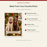 Personalized Two Dogs Acrylic Ornament - Custom Photo Keepsake - image 2