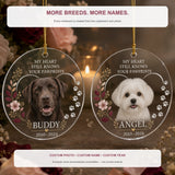 Personalized Heart Pawprints Pet Memorial Photo Acrylic Ornament - Custom Pet Keepsake - image 4